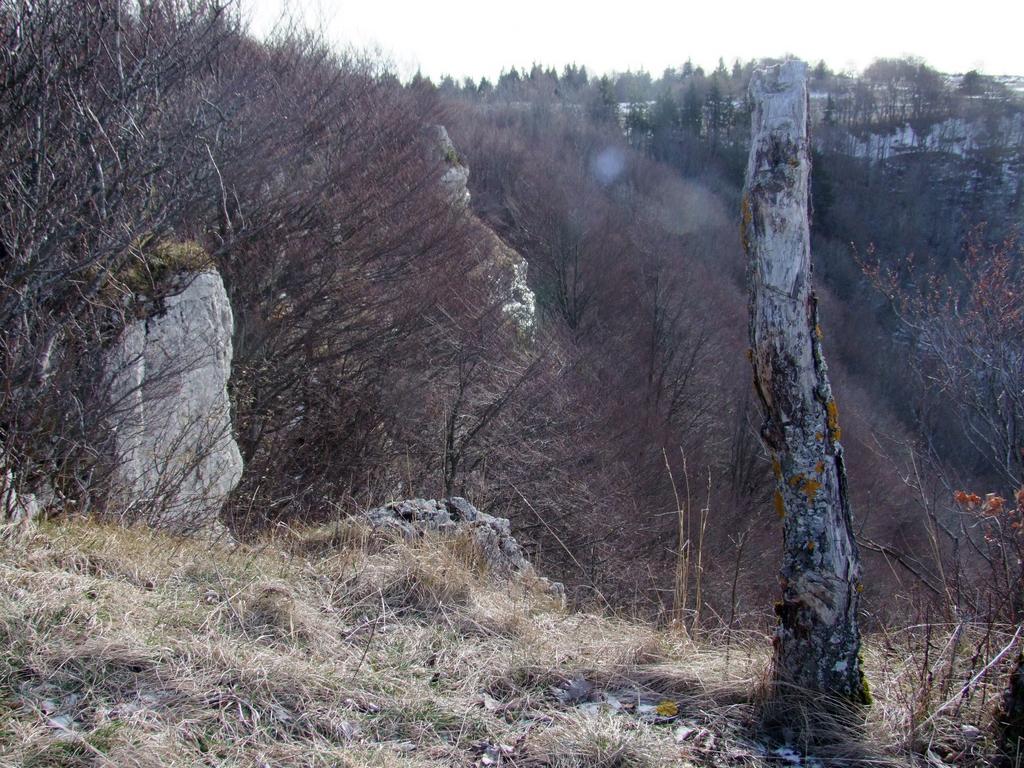 Pour l'image suivante