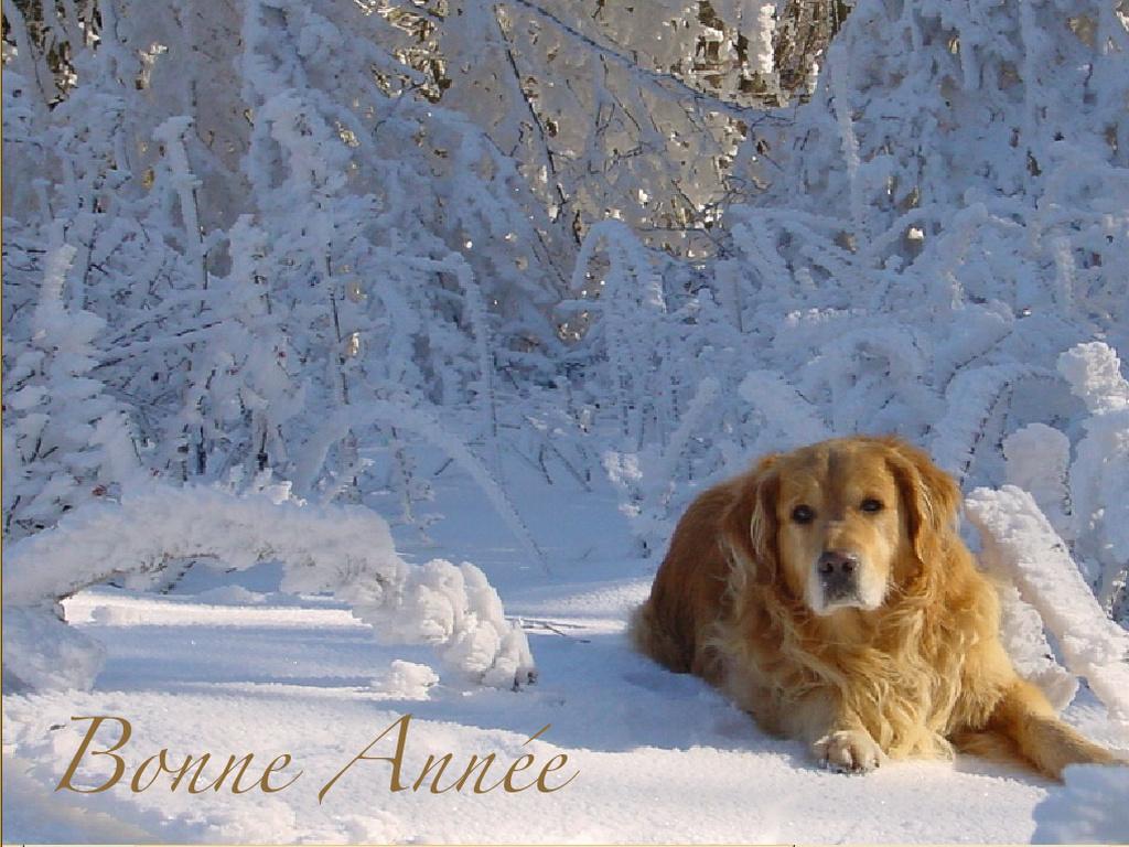 Click to see next picture