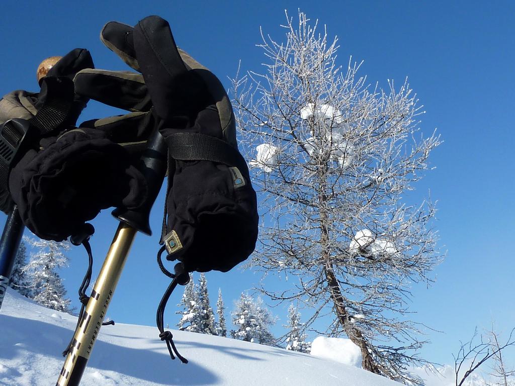 Pour l'image suivante