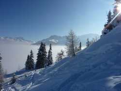 Pour agrandir l'image (1024x768 pixels; 71 KB)