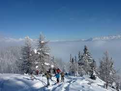 Pour agrandir l'image (1024x768 pixels; 108 KB)