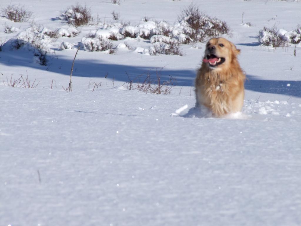 Pour l'image suivante