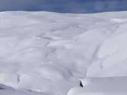 Pour agrandir l'image (1024x768 pixels; 62 KB)