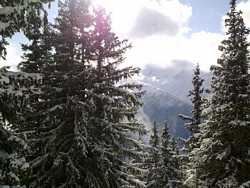 Pour agrandir l'image (1024x768 pixels; 195 KB)