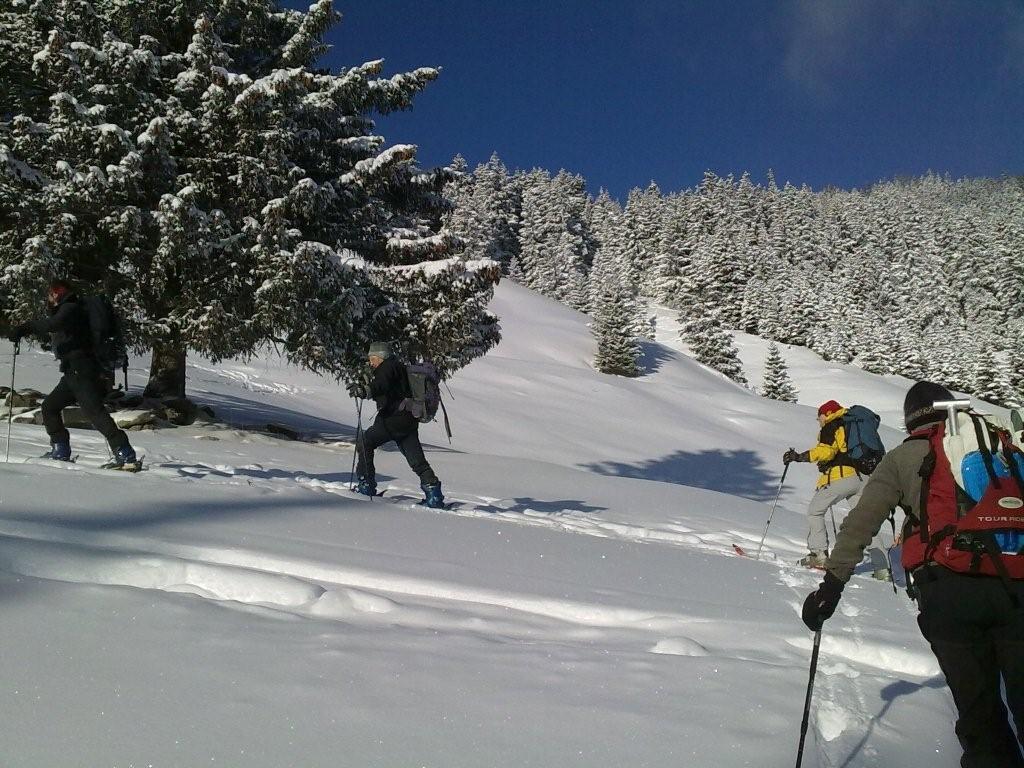 Pour l'image suivante