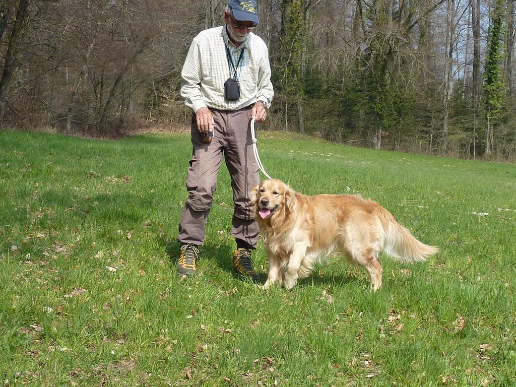 clic ici pour suivante