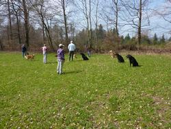 Clic pour agrandir l'image (1024x768 pixels; 257 KB)