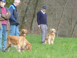 Clic pour agrandir l'image (1024x768 pixels; 151 KB)