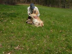 Clic pour agrandir l'image (1024x768 pixels; 209 KB)