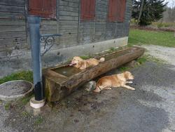 Clic pour agrandir l'image (1024x768 pixels; 166 KB)