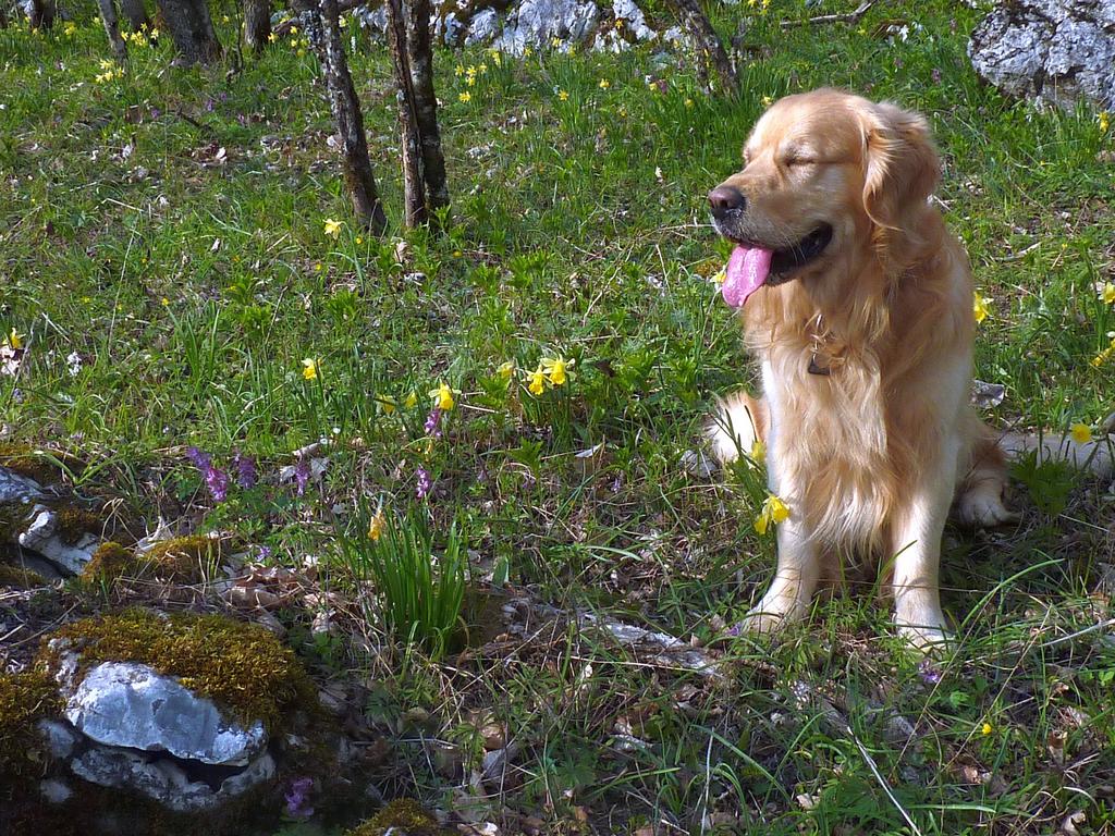 clic ici pour suivante