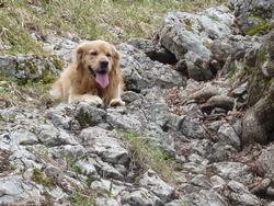 Clic pour agrandir l'image (1024x768 pixels; 236 KB)