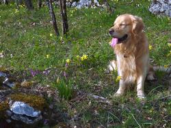 Clic pour agrandir l'image (1024x768 pixels; 250 KB)