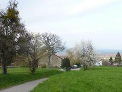 Clic pour agrandir l'image (1024x768 pixels; 132 KB)