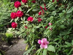 Clic pour agrandir l'image (1024x768 pixels; 218 KB)