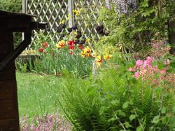 Clic pour agrandir l'image (1024x768 pixels; 230 KB)