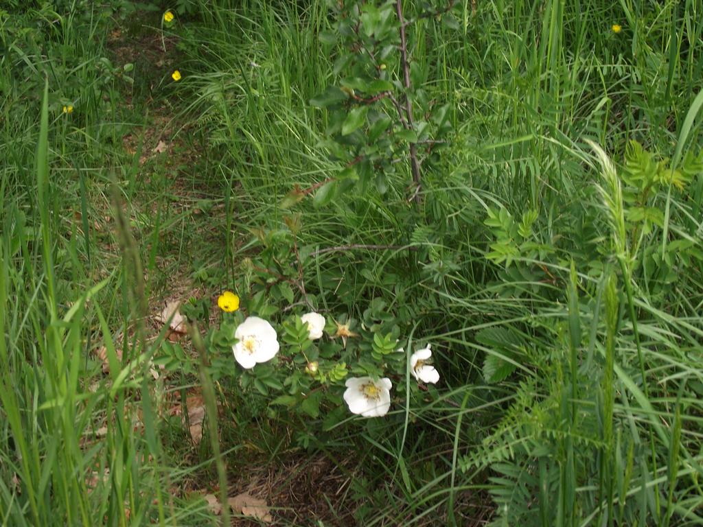 clic ici pour suivante