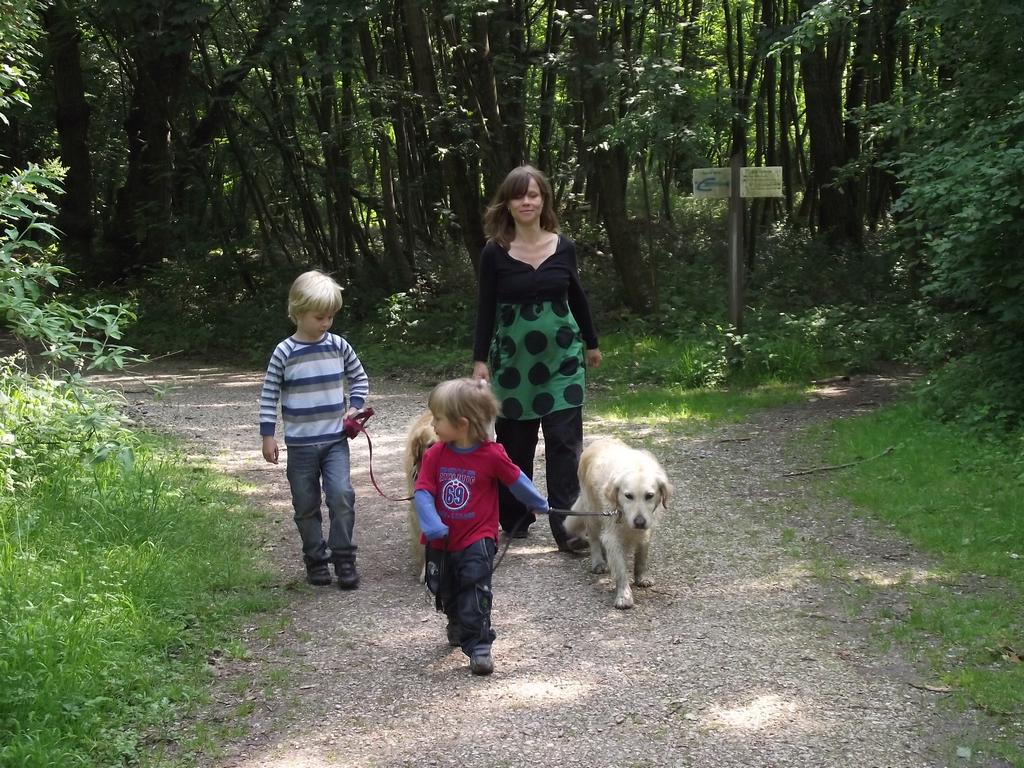 clic ici pour suivante