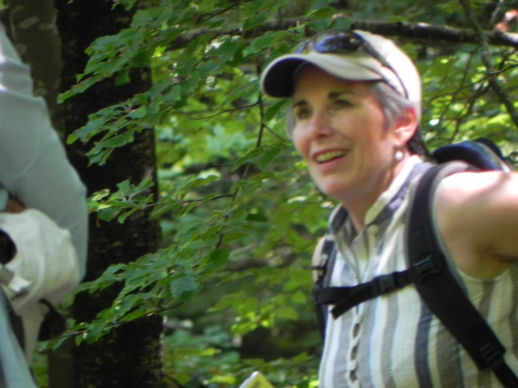 clic ici pour suivante