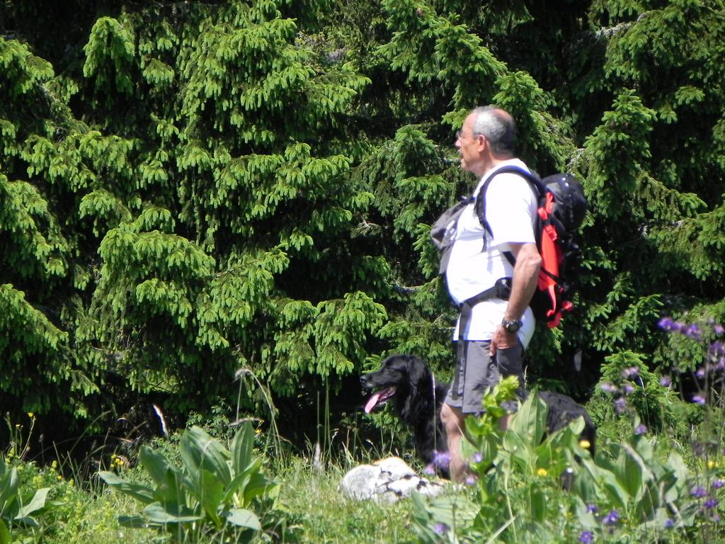 clic ici pour suivante