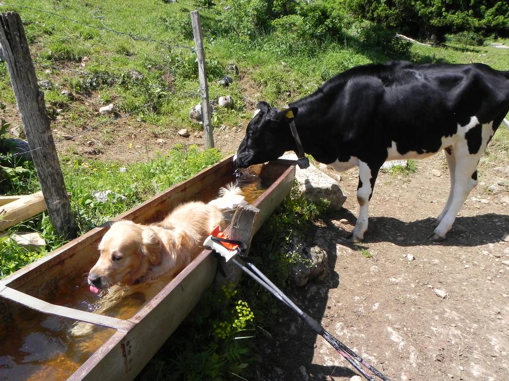 clic ici pour suivante