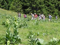 Clic pour agrandir l'image (1024x768 pixels; 270 KB)