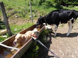 Clic pour agrandir l'image (1024x768 pixels; 196 KB)