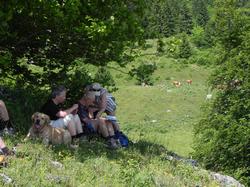 Clic pour agrandir l'image (1024x768 pixels; 234 KB)