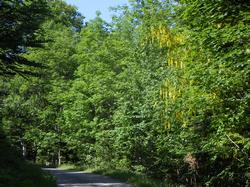 Clic pour agrandir l'image (1024x768 pixels; 282 KB)