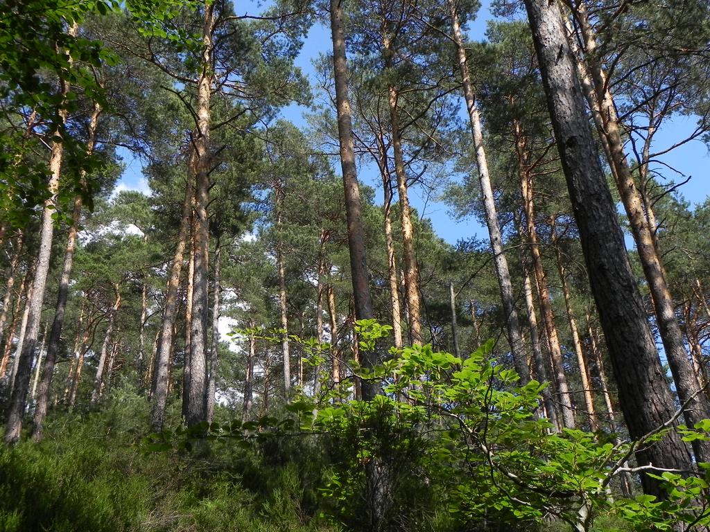 clic ici pour suivante