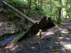 Clic pour agrandir l'image (1024x768 pixels; 216 KB)