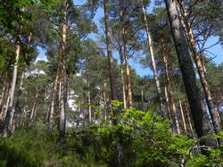 Clic pour agrandir l'image (1024x768 pixels; 254 KB)