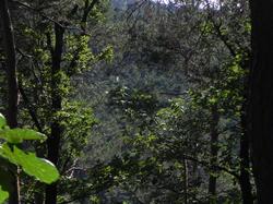 Clic pour agrandir l'image (1024x768 pixels; 201 KB)