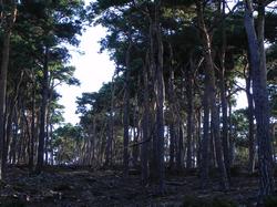 Clic pour agrandir l'image (1024x768 pixels; 178 KB)