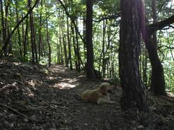 Clic pour agrandir l'image (1024x768 pixels; 155 KB)