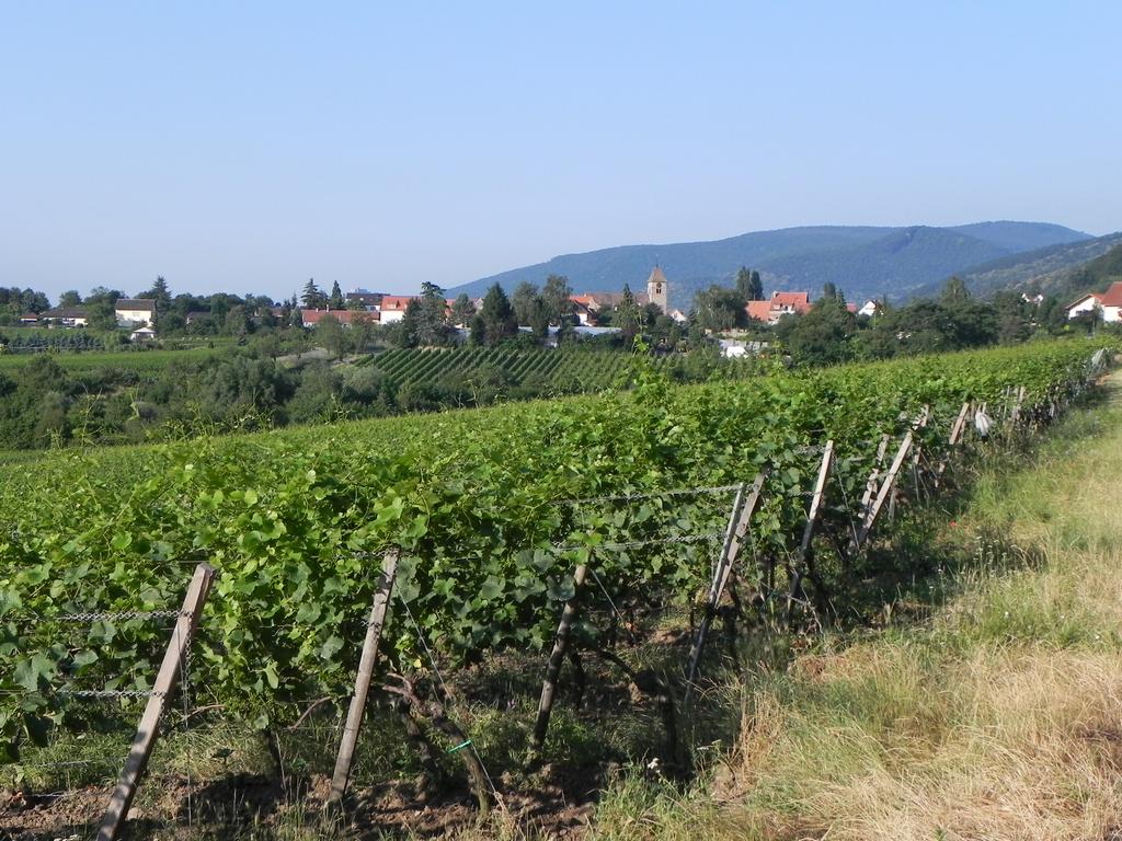 clic ici pour suivante