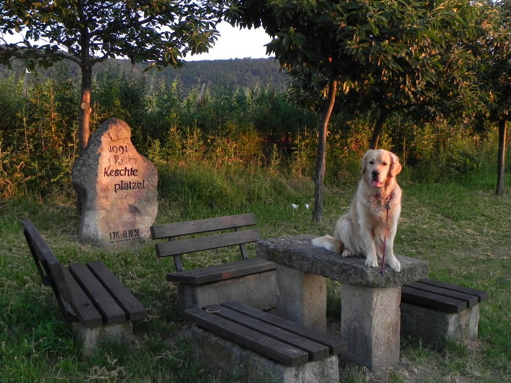 clic ici pour suivante