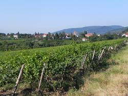 Clic pour agrandir l'image (1024x768 pixels; 167 KB)