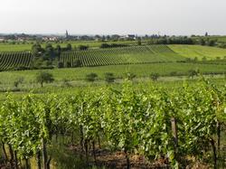 Clic pour agrandir l'image (1024x768 pixels; 200 KB)