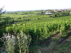 Clic pour agrandir l'image (1024x768 pixels; 210 KB)