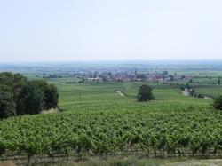 Clic pour agrandir l'image (1024x768 pixels; 137 KB)