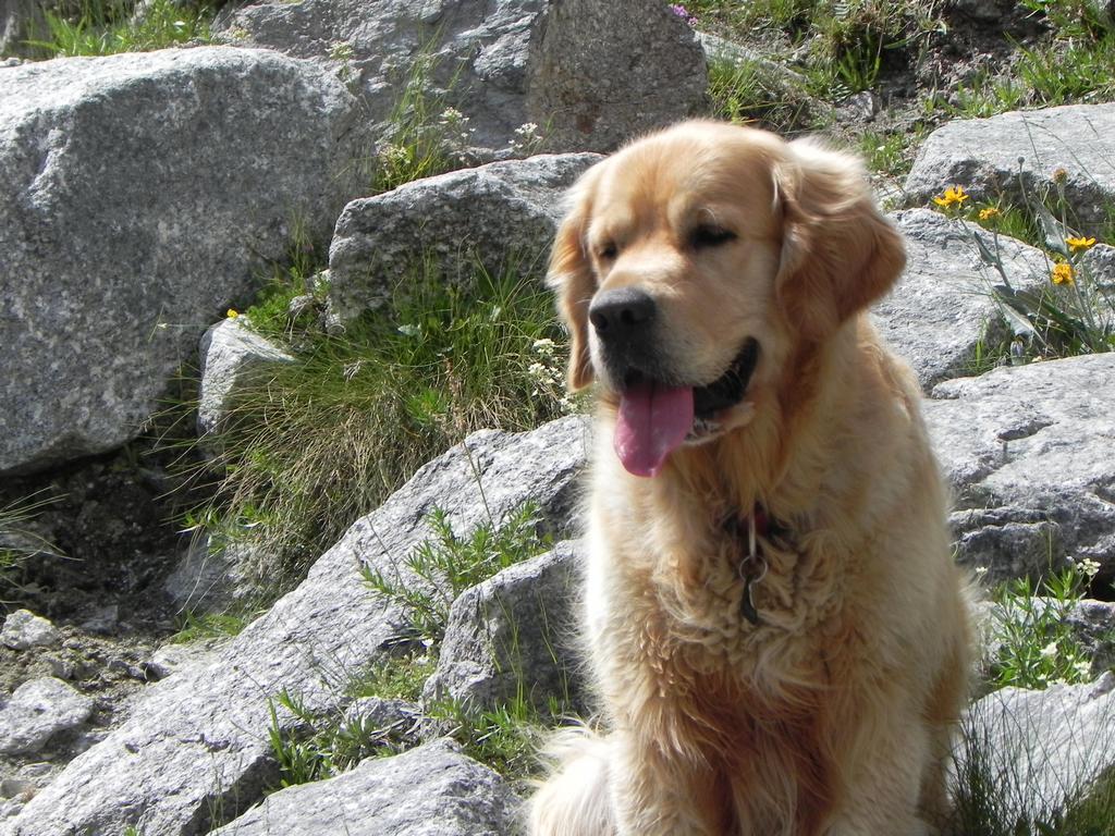 clic ici pour suivante