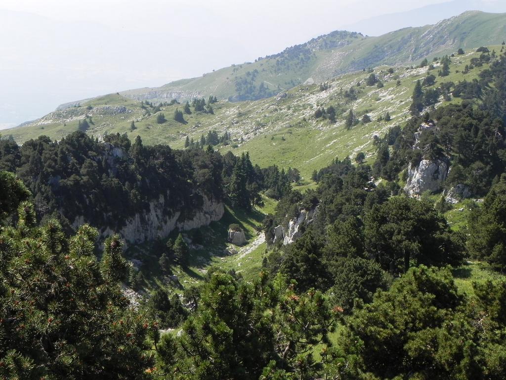 clic ici pour suivante