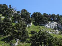 Clic pour agrandir l'image (1024x768 pixels; 160 KB)