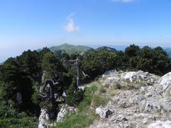 Clic pour agrandir l'image (1024x768 pixels; 145 KB)