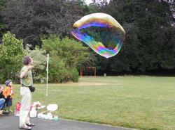 Clic pour agrandir l'image (1024x768 pixels; 189 KB)