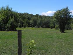 Clic pour agrandir l'image (1024x768 pixels; 161 KB)