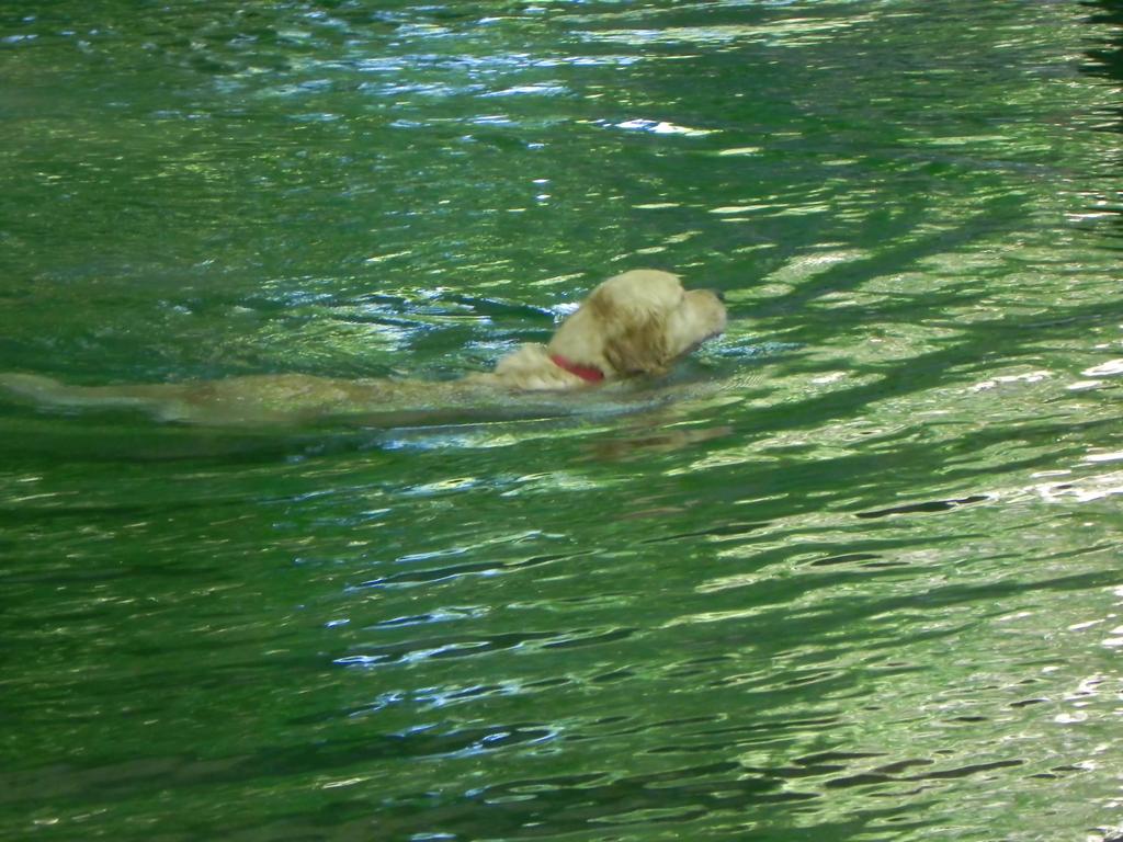 clic ici pour suivante