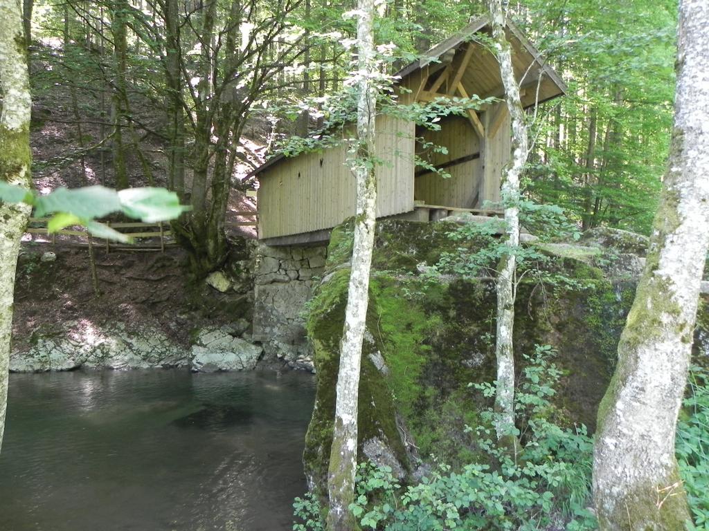 clic ici pour suivante