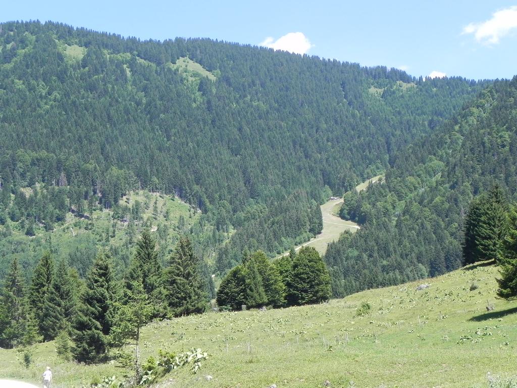 clic ici pour suivante